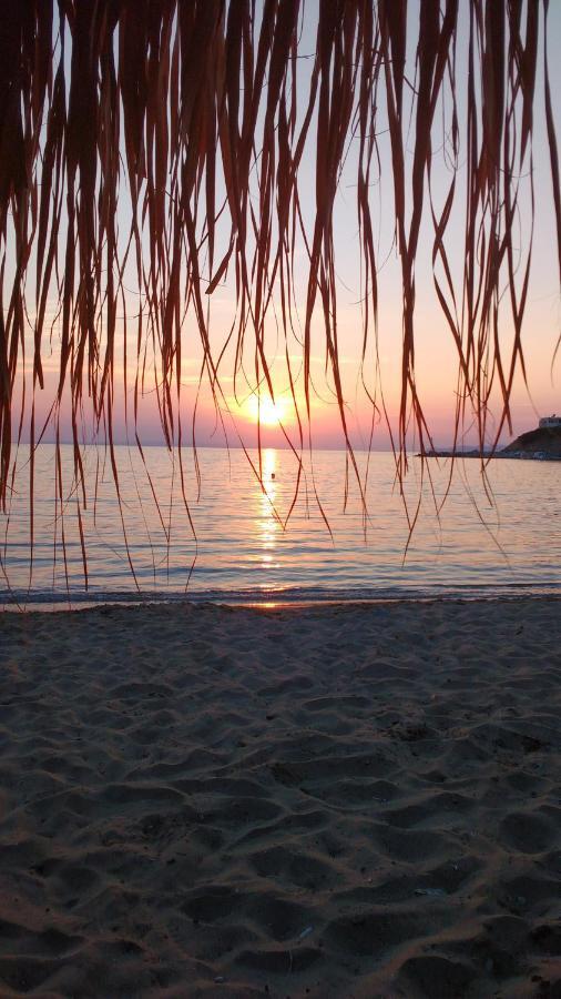 Silver Moon Kini Rum bild